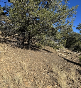 Northern New Mexico Land for Sale near Chama NM, Talavera - image 8