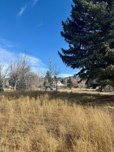 Chama NM Residential Land for Sale in the Village of Chama - image 3