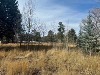 Chama NM Residential Land for Sale in the Village of Chama - image 9