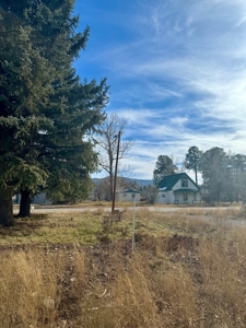 Chama NM Residential Land for Sale in the Village of Chama - image 4