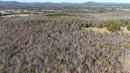 393 Acres of Hunting and Ranching Paradise | SE Oklahoma - image 13