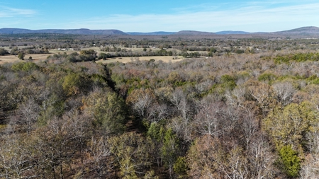 393 Acres of Hunting and Ranching Paradise | SE Oklahoma - image 11