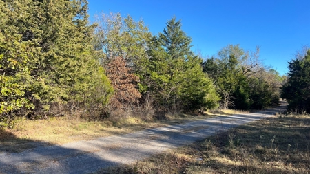 393 Acres of Hunting and Ranching Paradise | SE Oklahoma - image 4