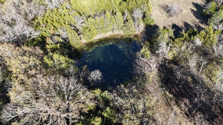 393 Acres of Hunting and Ranching Paradise | SE Oklahoma - image 24