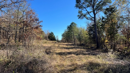 393 Acres of Hunting and Ranching Paradise | SE Oklahoma - image 29