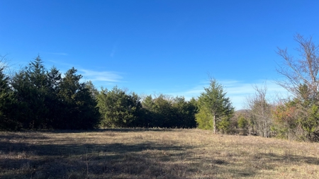 393 Acres of Hunting and Ranching Paradise | SE Oklahoma - image 35