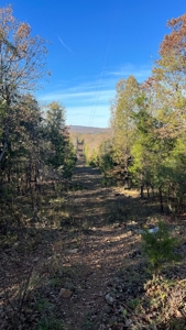 393 Acres of Hunting and Ranching Paradise | SE Oklahoma - image 38