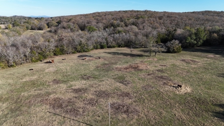 393 Acres of Hunting and Ranching Paradise | SE Oklahoma - image 17