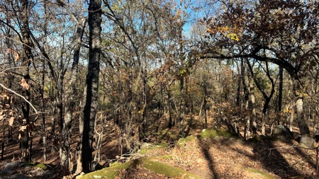 393 Acres of Hunting and Ranching Paradise | SE Oklahoma - image 34