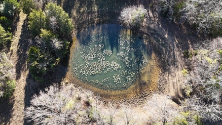 393 Acres of Hunting and Ranching Paradise | SE Oklahoma - image 25