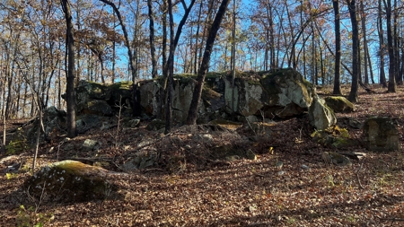 393 Acres of Hunting and Ranching Paradise | SE Oklahoma - image 31
