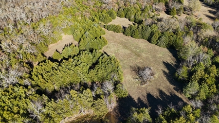 393 Acres of Hunting and Ranching Paradise | SE Oklahoma - image 22