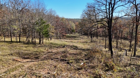 393 Acres of Hunting and Ranching Paradise | SE Oklahoma - image 23