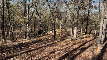 393 Acres of Hunting and Ranching Paradise | SE Oklahoma - image 32