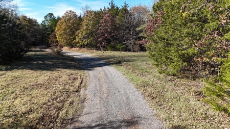 393 Acres of Hunting and Ranching Paradise | SE Oklahoma - image 5