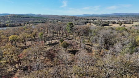 393 Acres of Hunting and Ranching Paradise | SE Oklahoma - image 7
