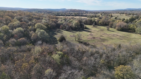 393 Acres of Hunting and Ranching Paradise | SE Oklahoma - image 14