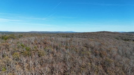 393 Acres of Hunting and Ranching Paradise | SE Oklahoma - image 10