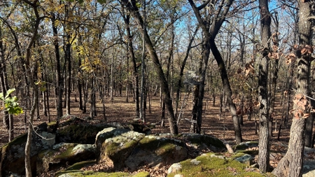 393 Acres of Hunting and Ranching Paradise | SE Oklahoma - image 33