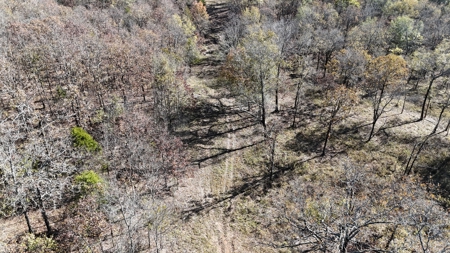 393 Acres of Hunting and Ranching Paradise | SE Oklahoma - image 20