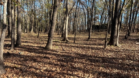 393 Acres of Hunting and Ranching Paradise | SE Oklahoma - image 30