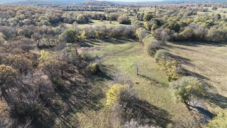 393 Acres of Hunting and Ranching Paradise | SE Oklahoma - image 18