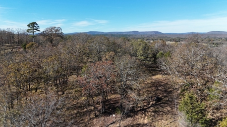 393 Acres of Hunting and Ranching Paradise | SE Oklahoma - image 8