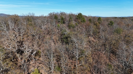 393 Acres of Hunting and Ranching Paradise | SE Oklahoma - image 21