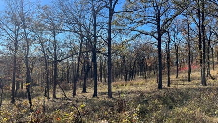 393 Acres of Hunting and Ranching Paradise | SE Oklahoma - image 28