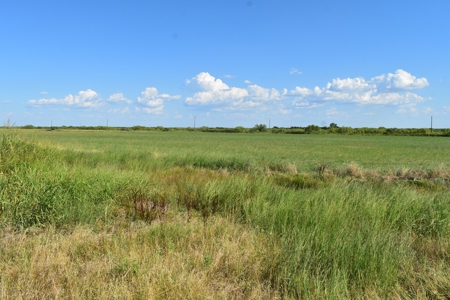 Cattle and Hunting Land for Sale, Young County, Texas - image 13