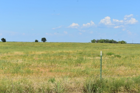 Cattle and Hunting Land for Sale, Young County, Texas - image 7