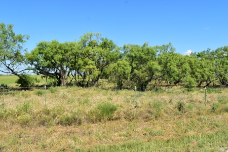 Cattle and Hunting Land for Sale, Young County, Texas - image 8