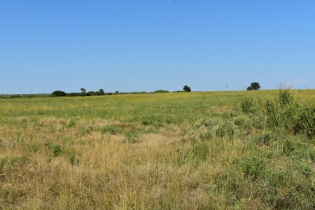 Cattle and Hunting Land for Sale, Young County, Texas - image 10