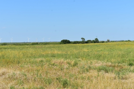 Cattle and Hunting Land for Sale, Young County, Texas - image 11