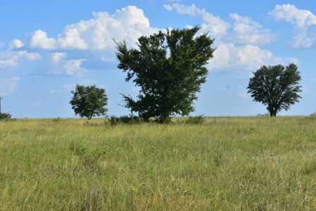 Cattle and Hunting Land for Sale, Young County, Texas - image 5