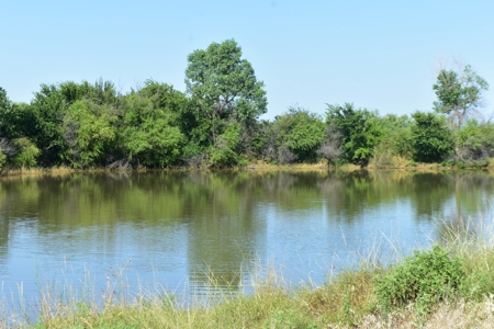 Cattle and Hunting Land for Sale, Young County, Texas - image 2