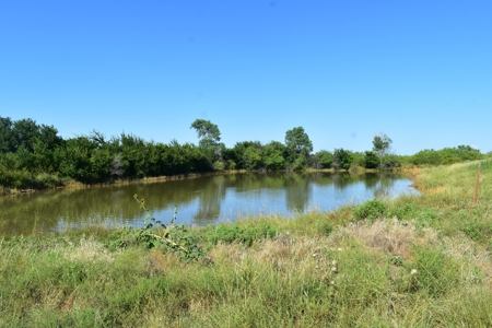 Cattle and Hunting Land for Sale, Young County, Texas - image 1