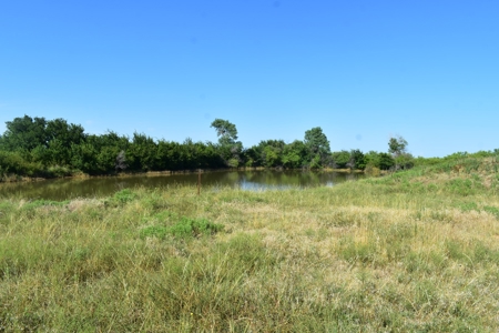 Cattle and Hunting Land for Sale, Young County, Texas - image 16