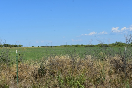 Cattle and Hunting Land for Sale, Young County, Texas - image 9
