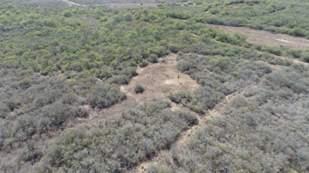 Hunting Property for Sale Outside of Alice, TX - image 13