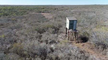 Hunting Property for Sale Outside of Alice, TX - image 14