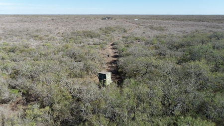 Hunting Property for Sale Outside of Alice, TX - image 10