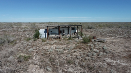 Hunting Property for Sale Outside of Alice, TX - image 6