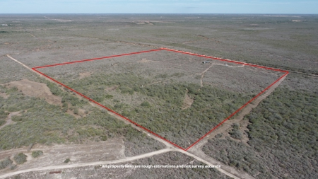 Hunting Property for Sale Outside of Alice, TX - image 18