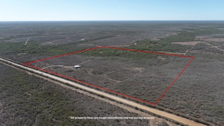 Hunting Property for Sale Outside of Alice, TX - image 3