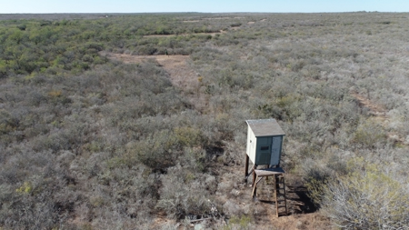 Hunting Property for Sale Outside of Alice, TX - image 15