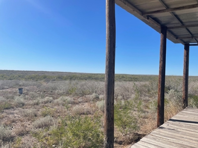 Hunting Property for Sale Outside of Alice, TX - image 8