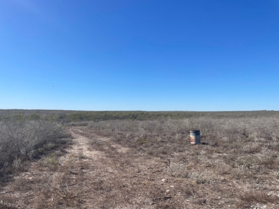 Hunting Property for Sale Outside of Alice, TX - image 9
