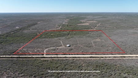 Hunting Property for Sale Outside of Alice, TX - image 1