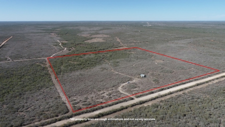 Hunting Property for Sale Outside of Alice, TX - image 2